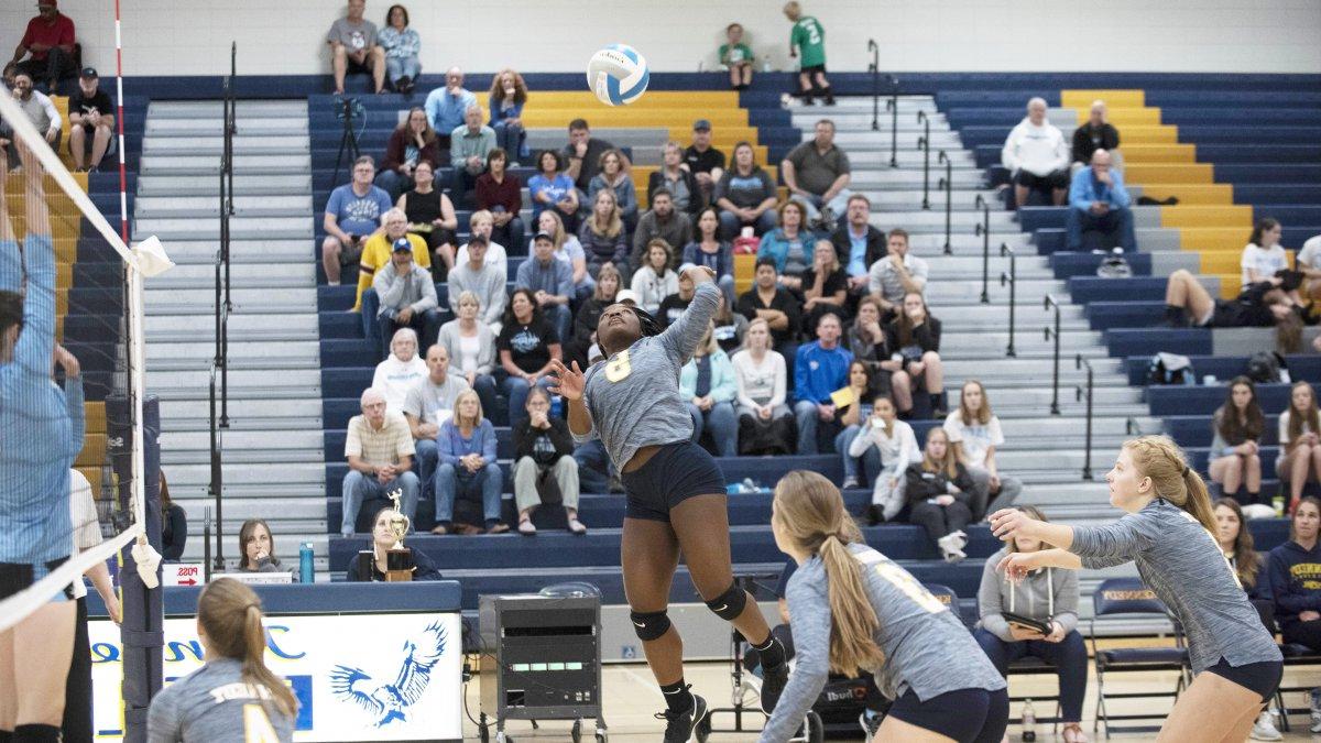 A girls volleyball player jumps in the air for a spike